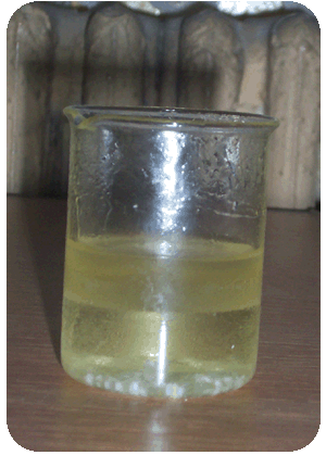 Biodiesel