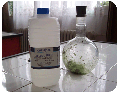 Biodiesel