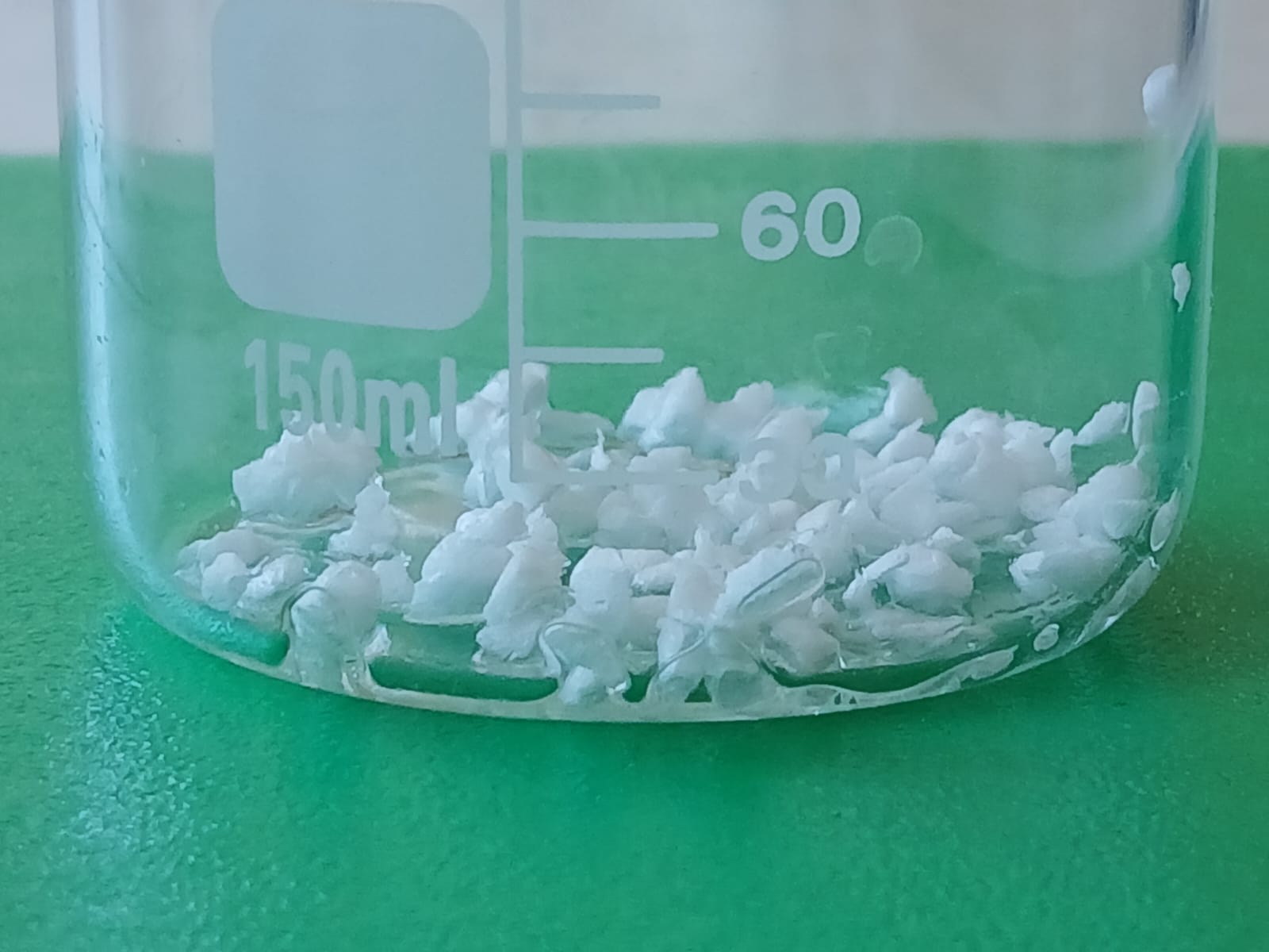 Poza 5
