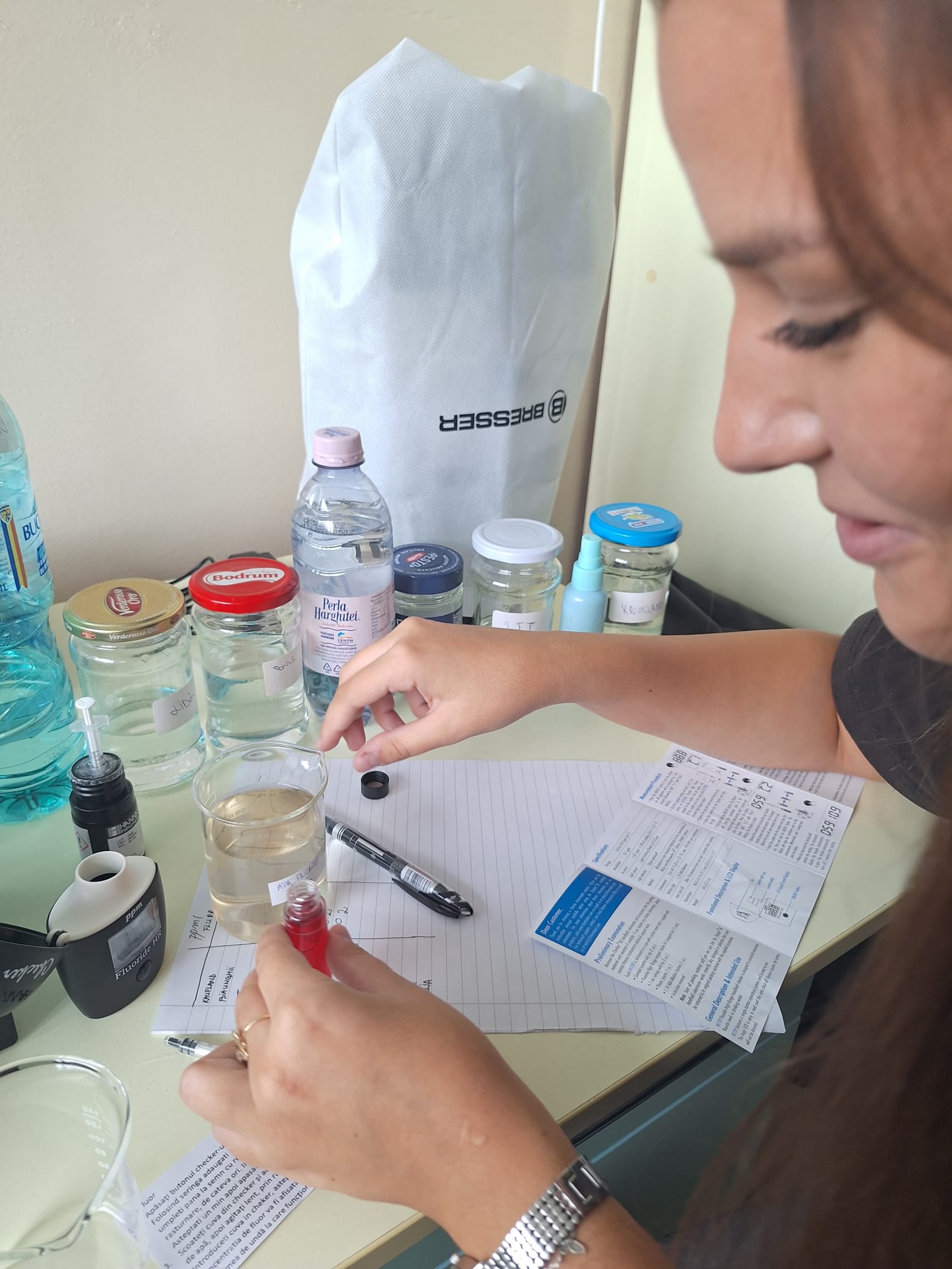 Poza 1