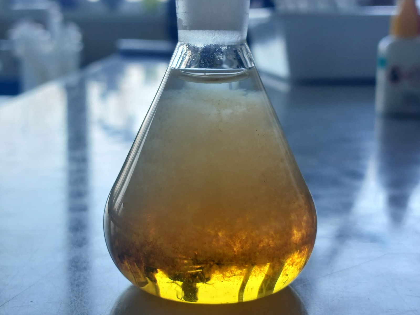 Water sample 8